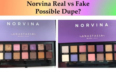 Norvina Eyeshadow Palette Dupe? (Put to the Test Real vs Fake)