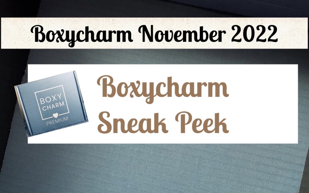 Boxycharm Premium Box November 2022 New Spoilers